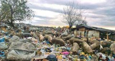 Si no se educa al vecino, no se podr� erradicar la basura