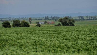 Productores rechazan el complejo ambiental