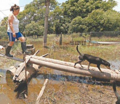 Ya son 50 mil las personas afectadas en todo el pa�s por las inundaciones