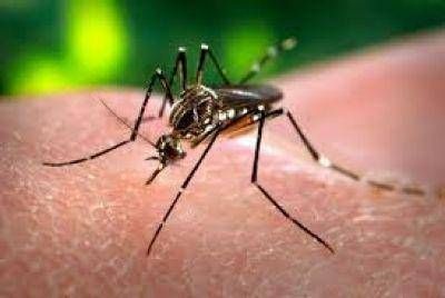Desde el Ministerio de Salud confirmaron 4 casos de dengue en Santiago