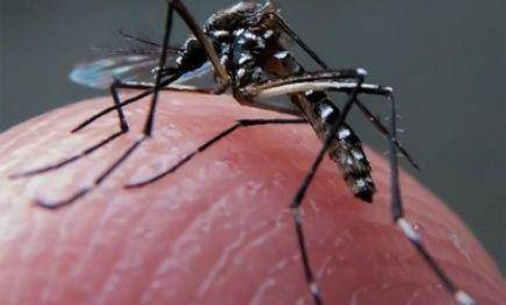 El dengue sigue aumentando: En Misiones ya son 2.182 los casos sospechosos