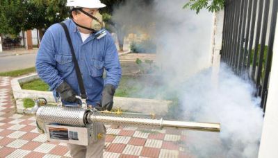 DENGUE: �LAS FUMIGACIONES SON PERJUDICIALES A LARGO PLAZO, SON UN M�TODO DE �LTIMA INSTANCIA�