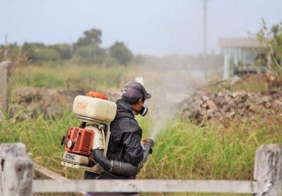 Confirmaron el primer caso de dengue aut�ctono en la ciudad