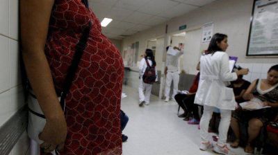 La OMS declar� la emergencia sanitaria internacional por el brote del zika