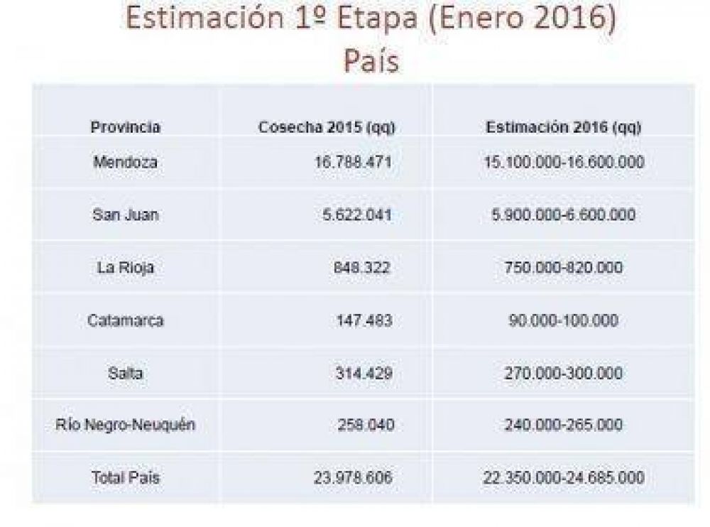 San Juan tendr� casi un 20 por ciento m�s de uva