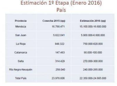 San Juan tendr� casi un 20 por ciento m�s de uva