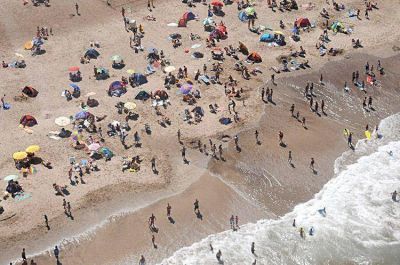 Humedales: importantes ecosistemas de Mar del Plata y la zona