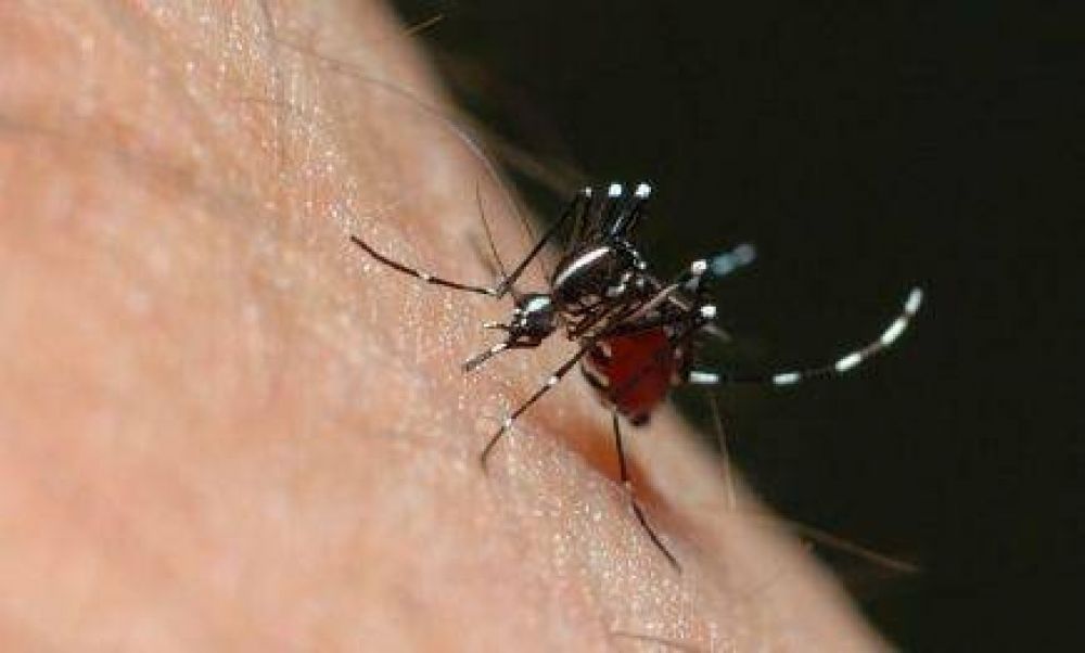 Salud inform� que los casos sospechosos de dengue aumentaron a 2450