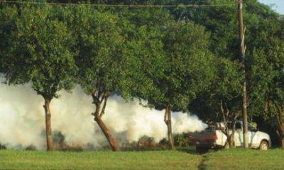 Contin�an las acciones prevenci�n y control de dengue en localidades de Misiones