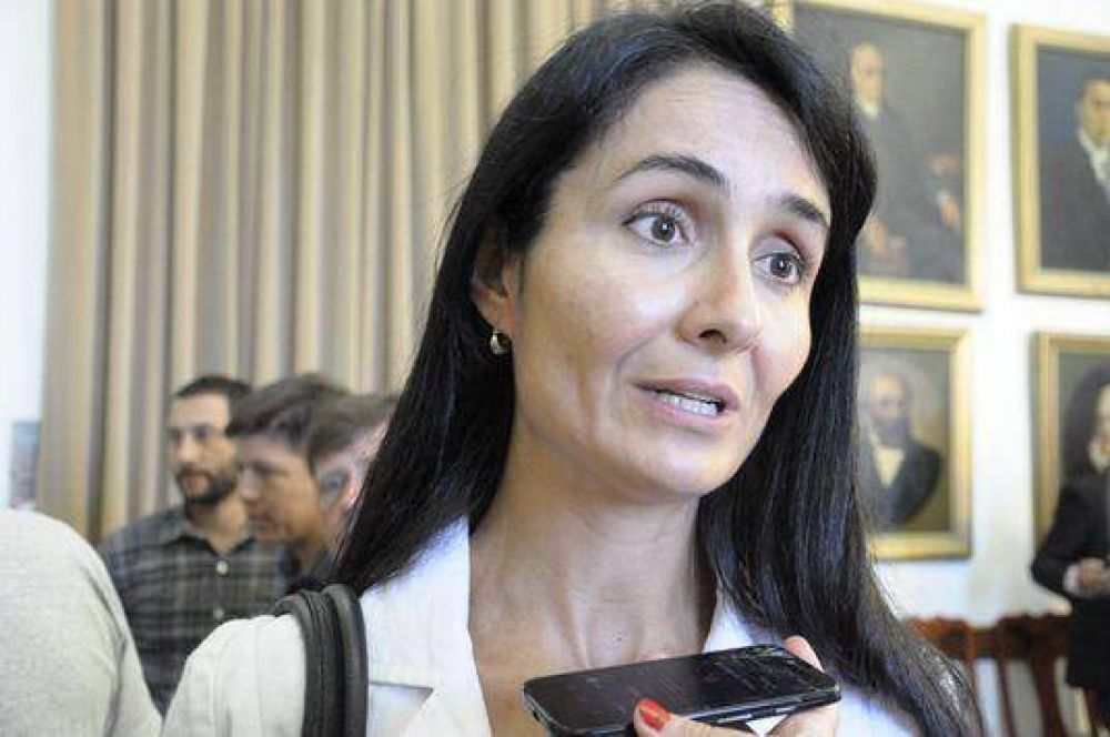 �Es injusto no valorar a quienes se esfuerzan por mejorar su condici�n docente�, sostuvo la diputada Viola 
