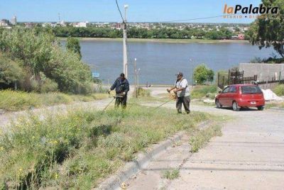 Contin�an las tareas de limpieza en la costanera maragata