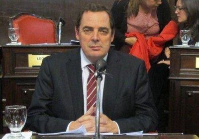Vitale: �Es necesario que el Estado garantice una debida protecci�n a las v�ctimas�