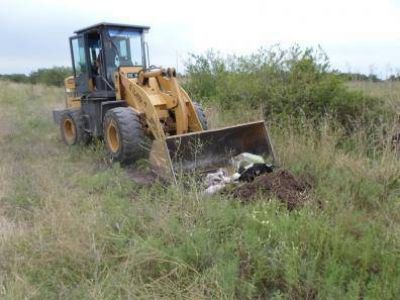 SERVICIOS URBANOS REALIZO TAREAS DE RECOLECCI�N DE RESIDUOS Y DESMALEZAMIENTO