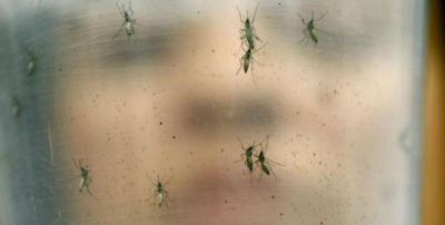 La provincia refuerza los controles por dengue, zika y chikungunya