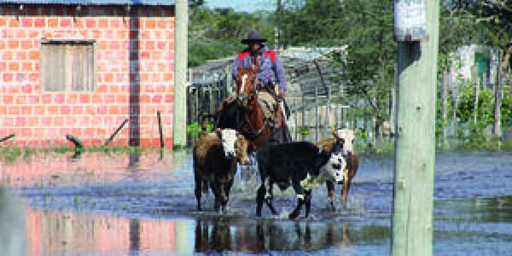Formosa presenta hoy a Naci�n informe sobre �desastre agr�cola y emergencia agropecuaria�