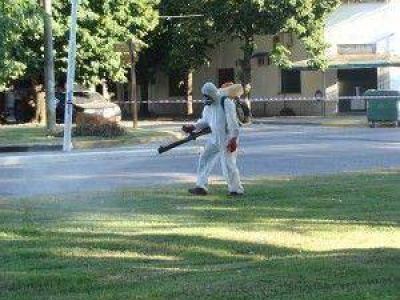 Comenzaron a fumigar en las plazas de Ramallo