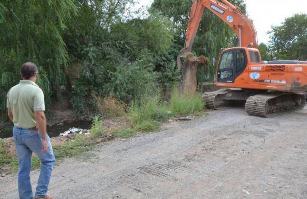 Limpieza de los canales: encuentran perros muertos y heladeras