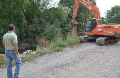 Limpieza de los canales: encuentran perros muertos y heladeras