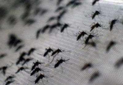 Ya son m�s de 90 los casos de dengue en la provincia de Santa Fe