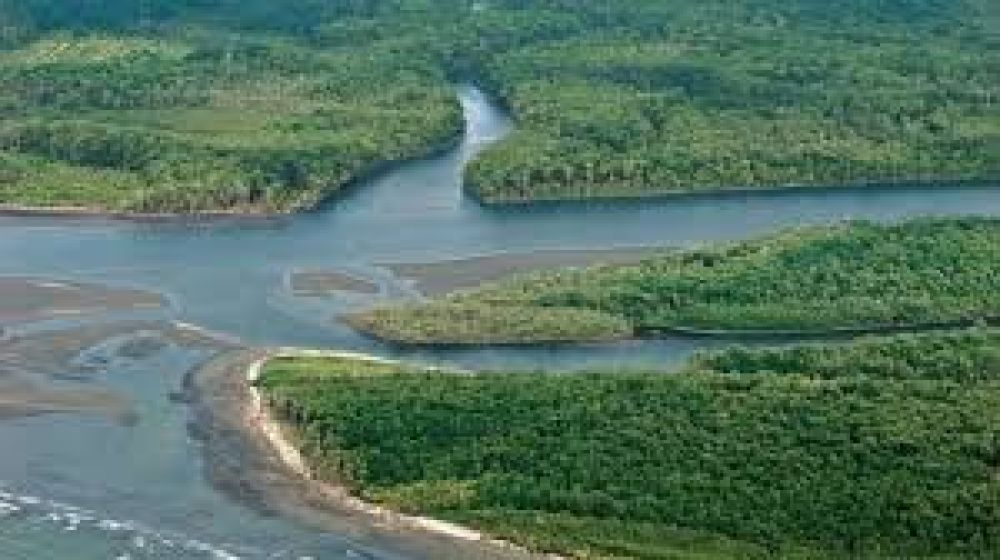 La Secretaria de Ambiente consider� �muy positivo� que se impulse una ley nacional de protecci�n de humedales
