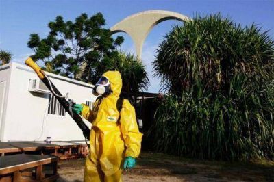 Salud admite que crece la preocupaci�n por el zika y que el mosquito es resistente a la fumigaci�n