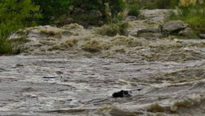 Los r�os cordobeses se encuentran al tope