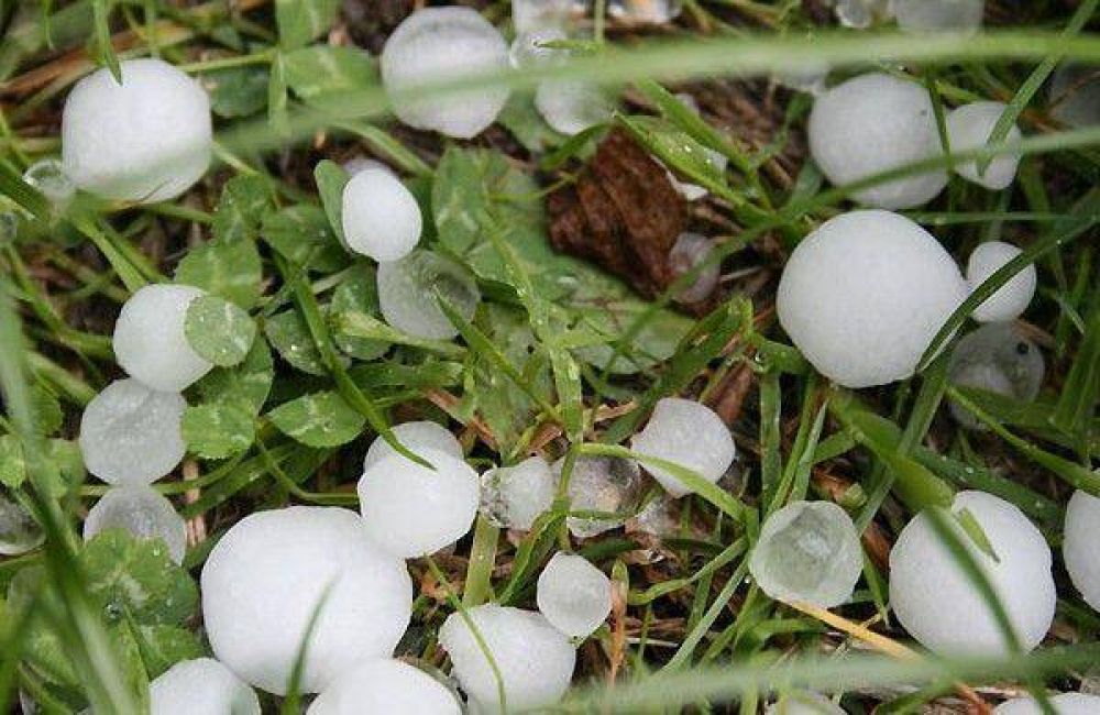La piedra arras� 5.000 hect�reas en el norte