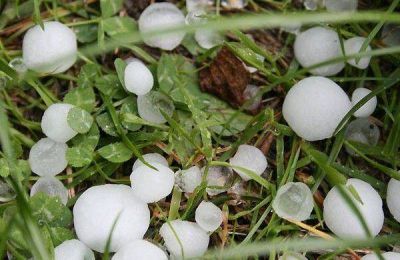 La piedra arras� 5.000 hect�reas en el norte