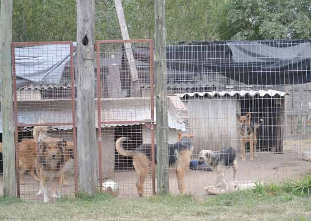 Concejales del PJ estudian modificaciones a la ordenanza de 2006 y la creaci�n de un registro