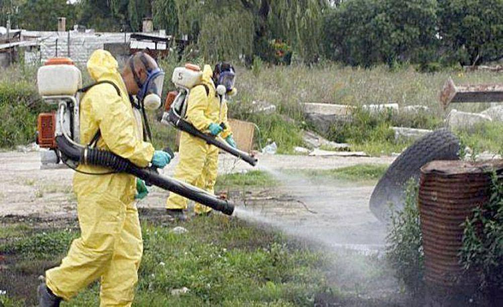 Advierten que los mosquitos son cada vez m�s resistentes a las fumigaciones