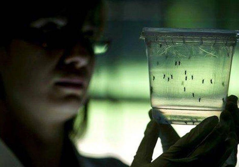 La provincia recomienda que, despu�s de la lluvia, se tomen medidas contra el dengue