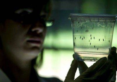 La provincia recomienda que, despu�s de la lluvia, se tomen medidas contra el dengue