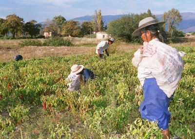 M�s de 30.000 empleados, con puestos temporales