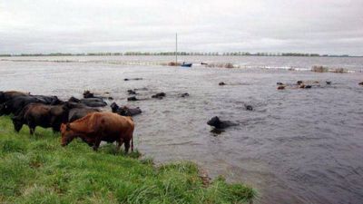 Avanza la declaraci�n de emergencia agropecuaria para la provincia