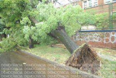 R�fagas de viento y lluvia azotaron la ciudad provocando serios destrozos