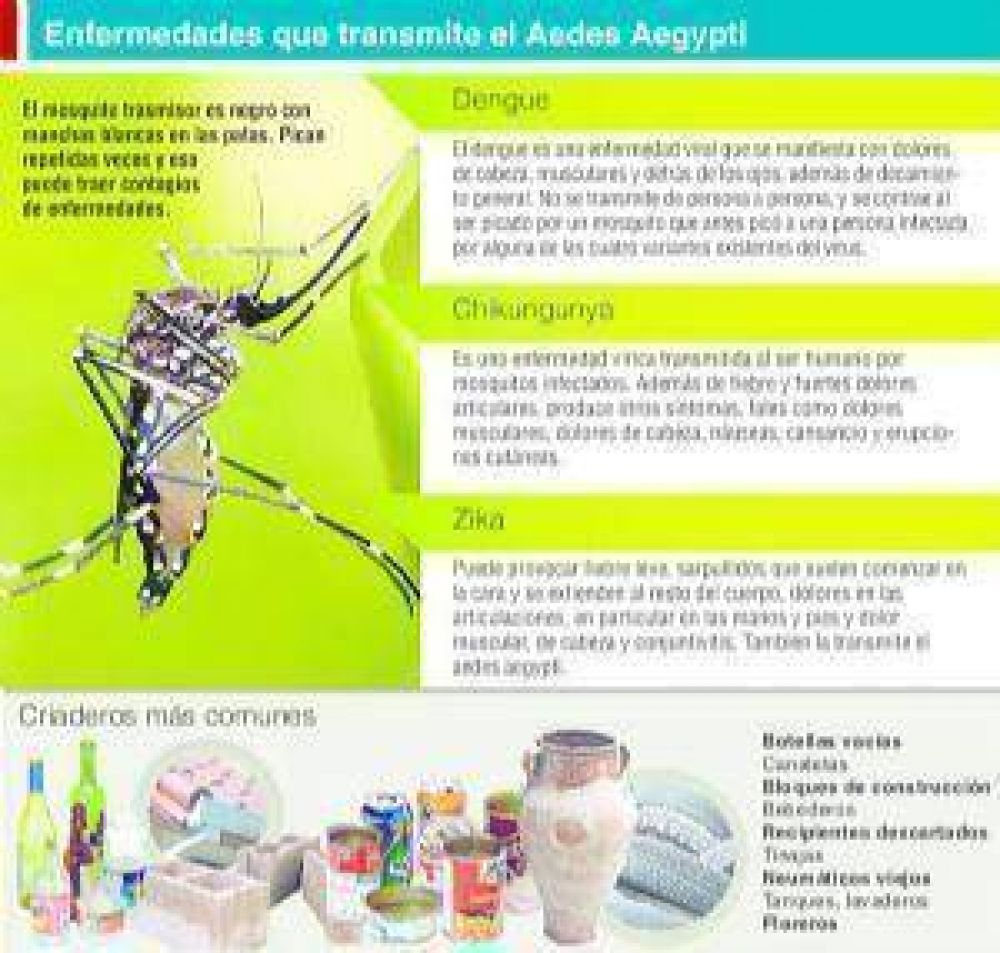 Por el caso de zika en Pergamino se reencendi� el alerta en la Regi�n