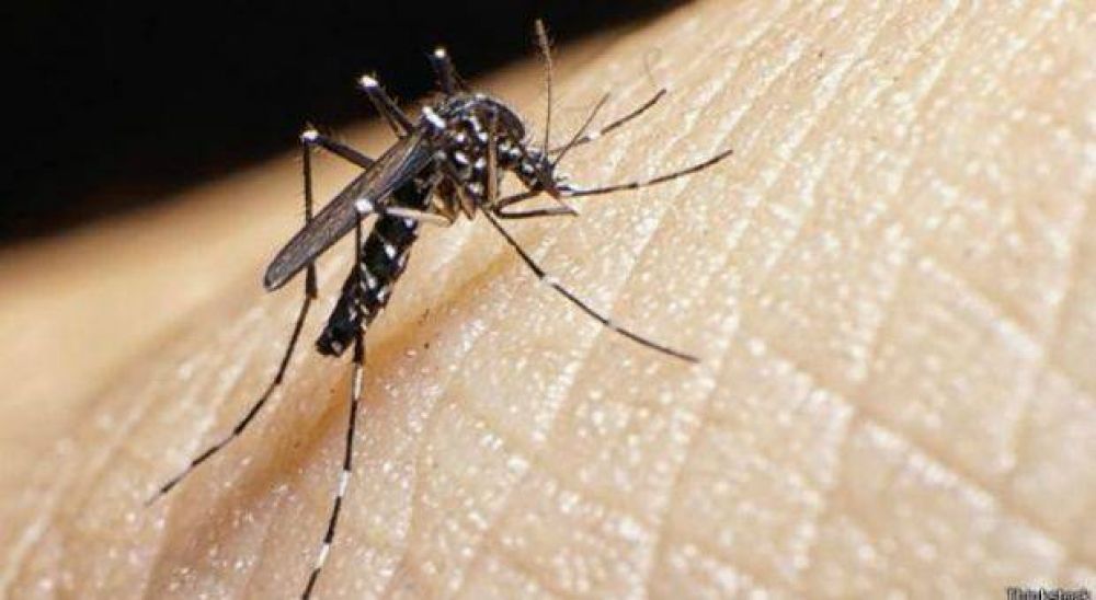 Ortiz pidi a los ciudadanos distintas acciones para prevenir el dengue, zika y chikungunya