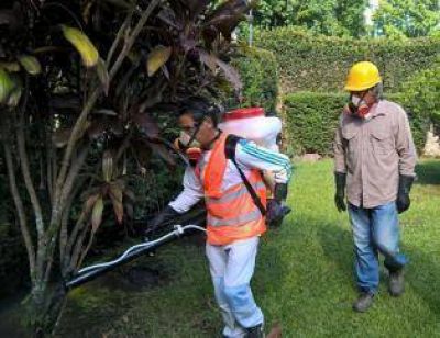 En Tucum�n hay 108 casos sospechosos de dengue