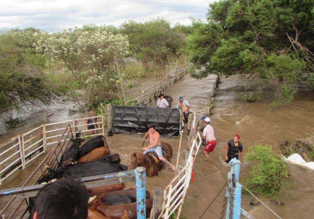 Prometen asistencia de precisi�n a productores por la inundaci�n