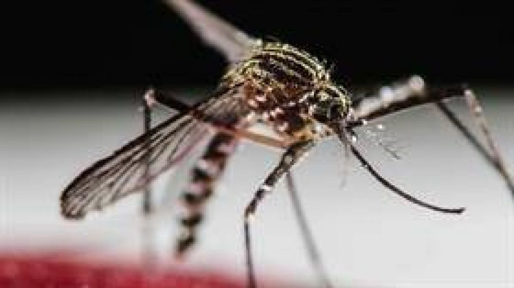 Pergamino. Reunin de autoridades luego de que se confirmara un caso importante de Zika