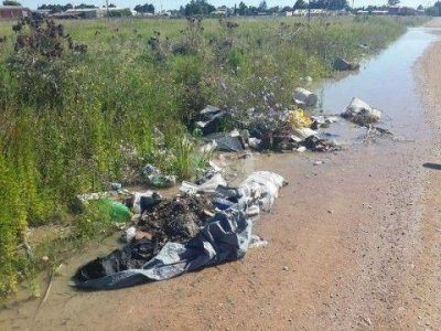 Basural clandestino en Mendoza al 500