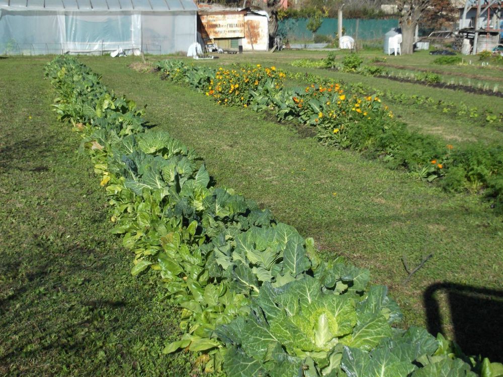 Puesta en valor de la Huerta Municipal: �Es un proyecto municipal que este Ejecutivo est� decidido a llevar adelante, encaminarlo y planificarlo a largo plazo�