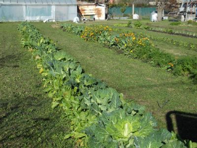Puesta en valor de la Huerta Municipal: �Es un proyecto municipal que este Ejecutivo est� decidido a llevar adelante, encaminarlo y planificarlo a largo plazo�