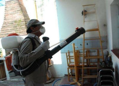 Detectan m�s vinchucas en las localidades del interior