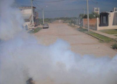 Aseguran que las fumigaciones por el dengue se realizan s�lo en la v�a p�blica