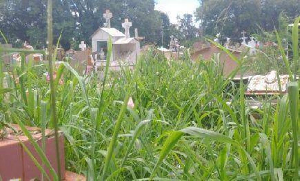 Fretros destruidos y mini basurales en el cementerio La Piedad