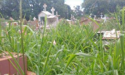 F�retros destruidos y mini basurales en el cementerio La Piedad