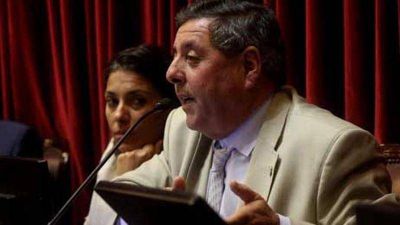 De Angeli fue electo vicepresidente del bloque Frente PRO en el Senado