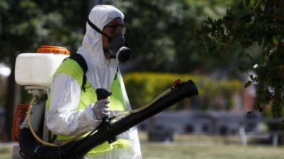 El dengue avanza en Buenos Aires y ya hay epidemia en C�rdoba
