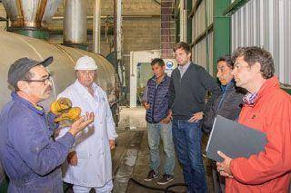 Provincia y Municipio inspeccionan frigor�ficos